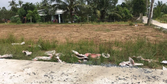 Bán đất đường Lý Thái Tổ,Phú Hội,Nhơn Trạch, KDC đông đúc ,gần chợ gần KCN