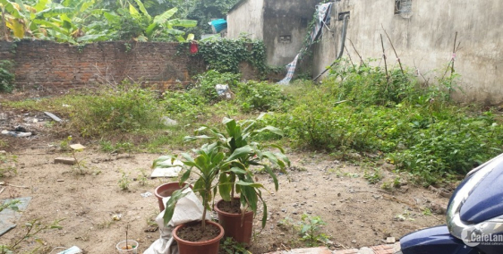 Chính chủ cần bán gấp lô đất Phú Diễn, cách đường Phú Diễn 20m