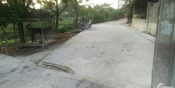 Chính Chủ bán đất Chỉ Đạo 80m từ 300tr, Đường rộng. lh 0835459289