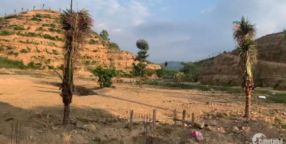 ️️ Luôn là tâm điểm cho các dự án SIÊU HOT  Là vườn Sinh Thái 15.3 ha