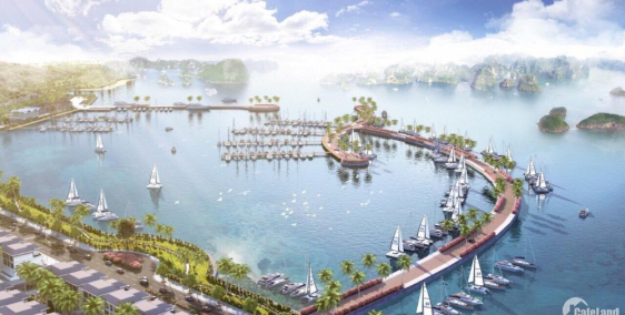 DỰ ÁN GREEN DRAGON CITY CẨM PHẢ