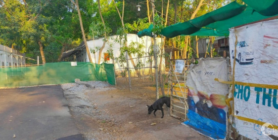 cần bán nhanh miếng đất với diện tích hơn 1071m2 nằm ngay trung tâm sằm uất