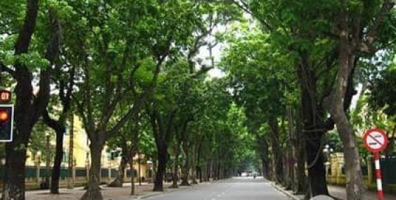 Bán nhà, phố Phan Đình Phùng, Ba Đình 52m2, 8 tầng, cho thuê 200tr/th, chỉ 48 tỷ