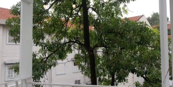 Bán gấp NHÀ ĐẸP–NGÕ ĐẸP, GẦN PHỐ,ô tô vào nhà, HOÀNG HOA THÁM,36m,4T,GIÁ: 4.5 tỷ