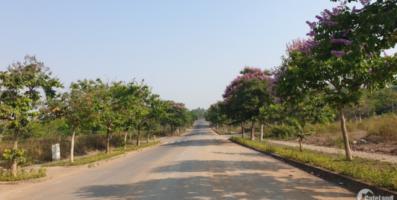 Bán nhà 1 trệt 2 lầu, TT Trảng Bom giá rẻ, sổ hồng riêng, thổ cư 100%.