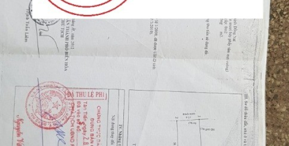 Cần bán Gấp căn nhà cấp bốn mới xây đẹp, 85 mét vuông, phường Tân Phong.