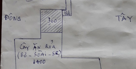 Bán nhà vườn 4030m2 sổ đỏ chính chủ, đường Lê Lai, Di Linh, chỉ 2 tỷ.