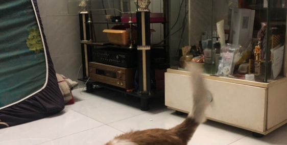 Bán nhà nhỏ xinh 2 tầng 15/ Cô Bắc, P. Cầu Ông Lãnh-Quận 1, cách MT Cô Giang 45m