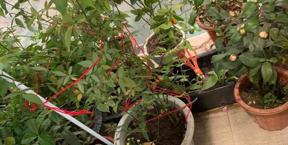 CHÍNH CHỦ CHO THUÊ CĂN HỘ CHUNG CƯ CAO CÂP FULL ĐỒ