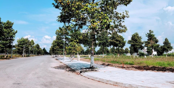 BÁN ĐẤT NGAY ĐẠI SIÊU THỊ CẦN THƠ