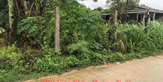 Đất nền – Xã Tịnh Ấn Tây ,diện tích : 139,7m2,giá 500tr