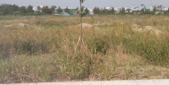 Khu compound khép kín 32ha chỉ với 3 tỷ