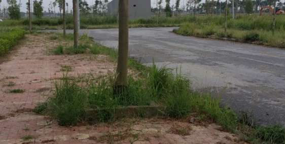 Tôi cần bán lại lô đất 100m giá 10tr tại dự án new city phố nối hưng y