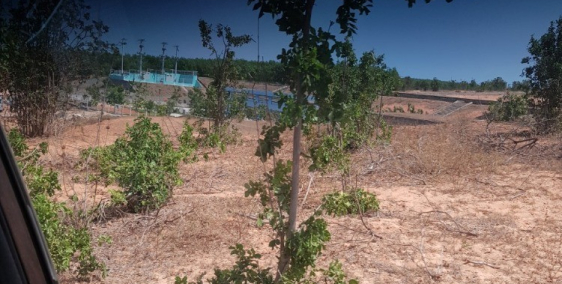 Bán 7000m2 đất Bắc Bình. Bình Thuận chỉ 350tr, sổ riêng Lh 0938677909