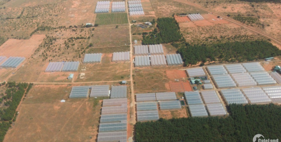 Mời quý khách hàng đăng ký tham quan đất nông nghiệp Bình Thuận Lh 0938677909