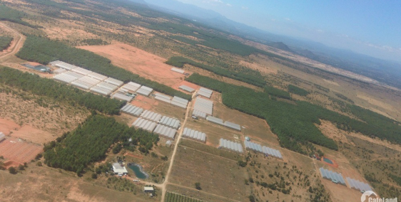 Bán 1ha đất nông nghiệp sông luỹ, bình thuận chỉ 500tr Lh 0938677909