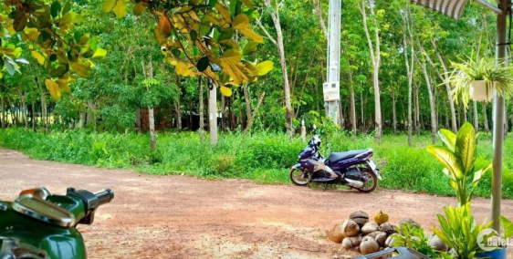 Cần bán đất dầu tiếng, bình dương, thổ cư, sổ hồng riêng, kinh doanh buôn bán đư