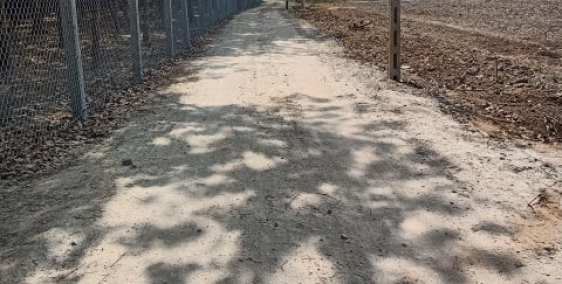 Vợ ngoại tình cần bán đất chính chủ giá rẻ Dầu Tiếng Bình Dương (470TR/nền)