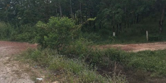 cần bán lô đất sát khu KDL Đọt Champa Dầu Tiếng Bình Dương 430/1000m2