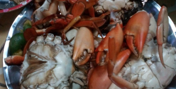 bán đất gò công đông giá từ 250 triệu