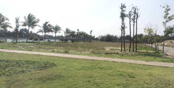 Cần bán gấp lô đất 200m2 ngay sông Trà Quế, Hội An