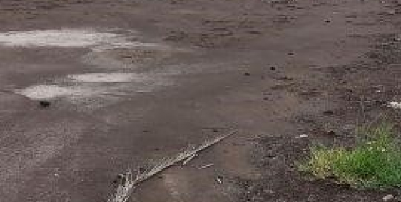 Bán lô đất 528m2, gần phà Bình khánh, Cần Giờ, sổ riêng, giá chỉ 850tr.