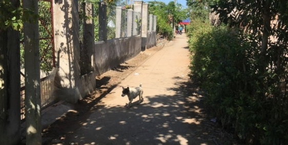 Bán đất biệt thự nghỉ dưỡng ven sông