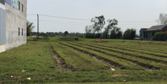 Bán Đất Mặt tiền tỉnh lộ 10 quy hoạch 30m đoạn xã Phú Xuân, Phú Vang