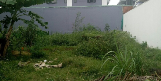 Bán gấp 72m2 đất thổ cư đường Số 17, Hiệp Bình Chánh, Thủ Đức, kế bên Gigamall