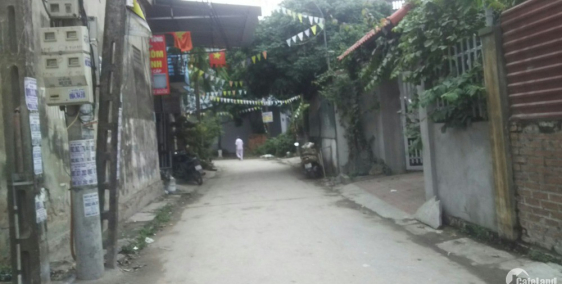 Bán đất Chỉ Đạo 55m giá từ 300tr, vị trí cực đẹp: lh 0835459289