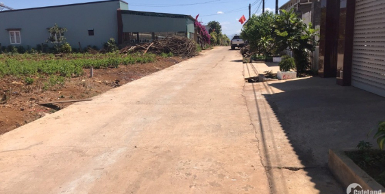 Chính chủ cần bán lô đất nông nghiệp, dt 536m2 tại Bảo Lộc, Lâm Đồng.