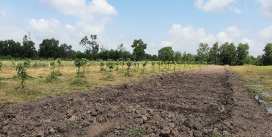 Thanh lý gấp 4000 m2 đất nông nghiệp tại Bến Lức Long An