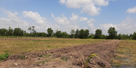 Cần sang lại miếng 3000 m2 đất trang trại tại xã Thạnh Hòa – Bến Lức – Long An