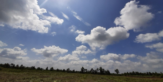 Bán đất do thua lỗ nông sản 497m2 đất vườn Bến Lức giá 707 triệu