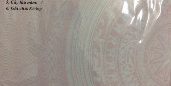 Bán nền mặt tiền Đường Nguyễn Thị Trâm cách Quốc Lộ chỉ 100m