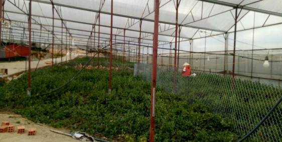 Chính chủ cần bán lô đất đẹp đường Vạn Kiếp – Phường 8 – TP.Đà Lạt – Lâm Đồng