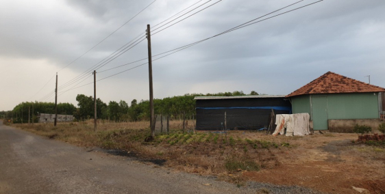 gia đình cần bán hơn 11500m2 đất vườn ,hai mặt tiền đường ra sân bay sau này