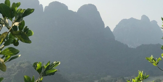 Chính chủ bán gấp 13ha đất đồi giá rẻ tại huyện Lương Sơn, tỉnh Hòa Bình