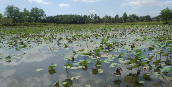 Bán 1400m2, giá 6,5tr/m2 Long Phước, Quận 9