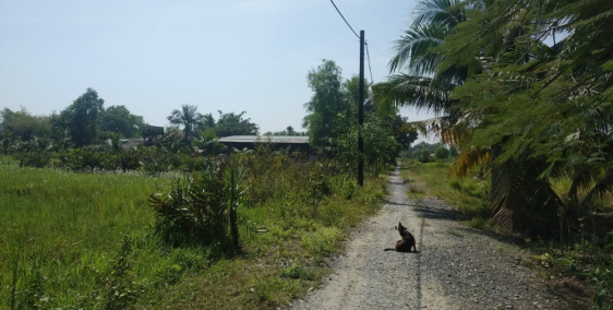 Bán 1400m2, 6,5tr/m2, MT hẻm xe ben, đường Long Phước, Quận 9.