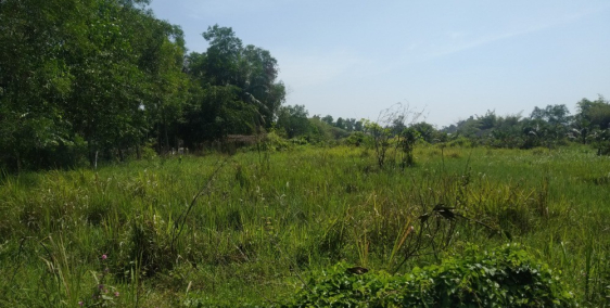 Bán 1000m2, 6,5 tỷ, MT Rạch, đường số 5, Long Phước Quận 9.