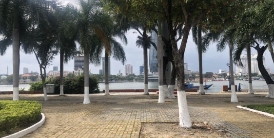 thuê đất mặt tiền đường trần hưng đạo đối diện novotel 375 m2 giá 65 triệu tháng