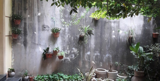 Cho thuê nhà 3 tầng 80m2 ngõ Gốc Đề, Hoàng Mai