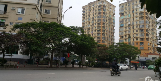 cho thuê văn phòng đường vũ phạm hàm, 11 triệu