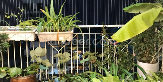 Căn hộ Valeo 86m2 view Đông Nam.