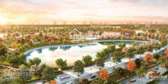 Chủ đầu tư Mik Group nhận đặt chỗ thiện chí dự án The Matrix One