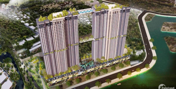 Chung cư Ecopark The Island Bay-Chung cư xanh view biệt thự đảo