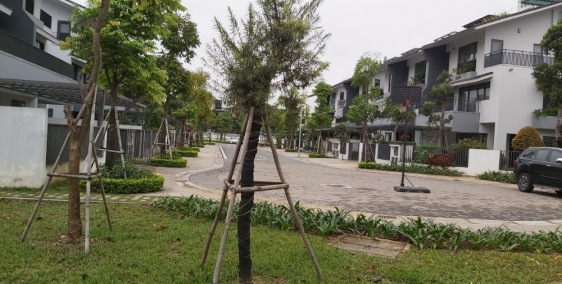 Bán gấp căn liền kề LK05 - 258 Dahlia Homes, giá siêu mềm, KĐT Gamuda Gardens, H