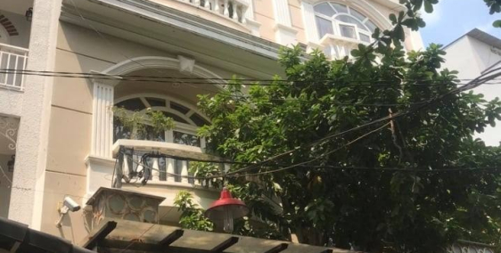 Bán nhà biệt thự đường Trần Bình Trong siêu sang, phong cách châu âu