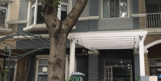 Giá rẻ giao dịch liền tay căn Biệt thự Hưng Thái, Phú Mỹ Hưng giá tốt